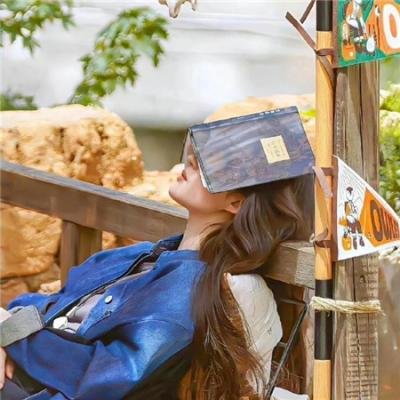 第28年的甲子园